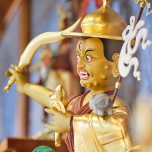 Foundation / Teacher Training Membership for Seniors and Students